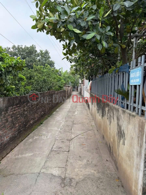 URGENT SALE OF A PRIME PLOT OF LAND - Great Price - Thuong Mo, Dan Phuong - Convenient transportation, potential for price appreciation _0