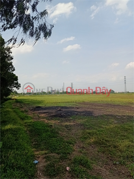 Property Search Vietnam | OneDay | Residential | Sales Listings For sale 3ha of commercial and service land for 50 years at Gia Lam street, Gia Lam district, PT Hanoi