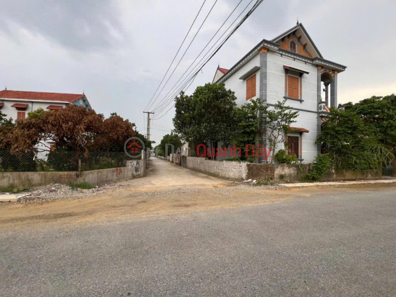 OWNER'S LAND - FRONTAGE DT 386 Road, Nguyen Hoa Commune, Phu Cu - Hung Yen, Vietnam, Sales, đ 980 Million