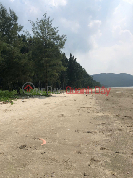 ĐẤT ĐẸP – GIÁ TỐT CHÍNH CHỦ BÁN GẤP Tại Xã Ngọc Vừng, Huyện Vân Đồn, Quảng Ninh, Việt Nam Bán, đ 50 tỷ