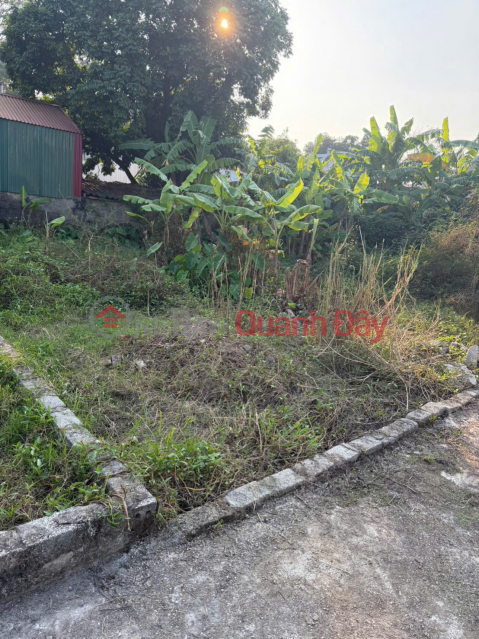 CHÍNH CHỦ bán đất Tân Ước, Dân Hoà, Thanh Oai - Sát ngay Vinhomes Olympic - Tiềm năng tăng giá cao _0