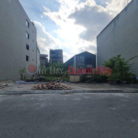 Auction of 31 hectares in Trau Quy, Gia Lam. 234m2, 12m frontage, 15m road, investment price. Contact 0989894845 _0