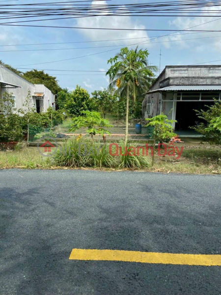 BEAUTIFUL LAND - GOOD PRICE - Owner Needs to Sell Land Lot in My Loi B Hamlet, Hiep Hung, Phung Hiep, Hau Giang | Vietnam, Sales, đ 1.45 Billion