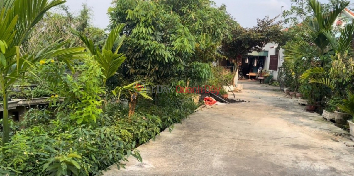 PRIMARY LAND - GOOD PRICE - Beautiful Location In Village 16, Hiep Hoa, TX. Quang Yen, Quang Ninh Sales Listings