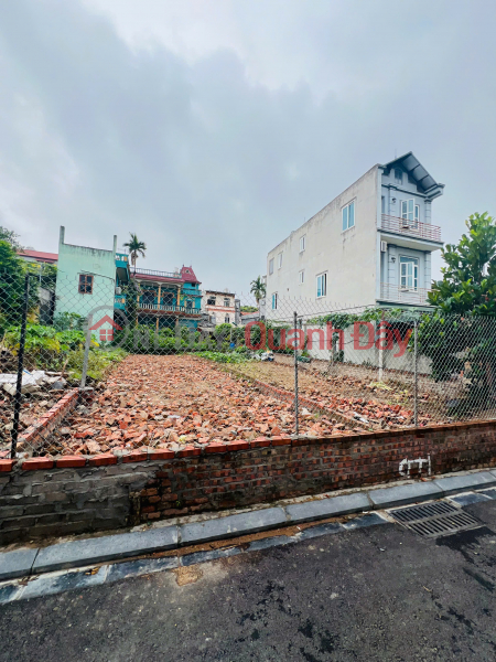 Property Search Vietnam | OneDay | Nhà ở, Niêm yết bán, Bán Đất Thọ Đa Kim Nỗ, Đông Anh Giá 6X/m2 ngõ thông ô tô