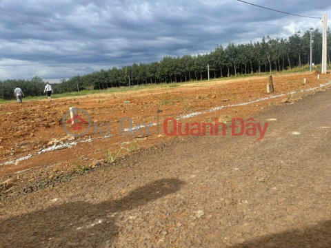 ĐẤT ĐẸP - ĐẦU TƯ SINH LỜI - Bán Gấp Lô Đất Mặt Tiền Xã Đồng Tiến, Đồng Phú, Bình Phước _0