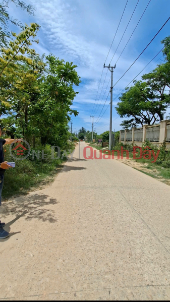 Property Search Vietnam | OneDay | Residential, Sales Listings | LAND FOR SALE 1200M2. PHUOC MY MAIN AXIS. SUITABLE FOR BUILDING A GARDEN HOUSE OR RESORT. NEAR QUY NHON CITY CENTER