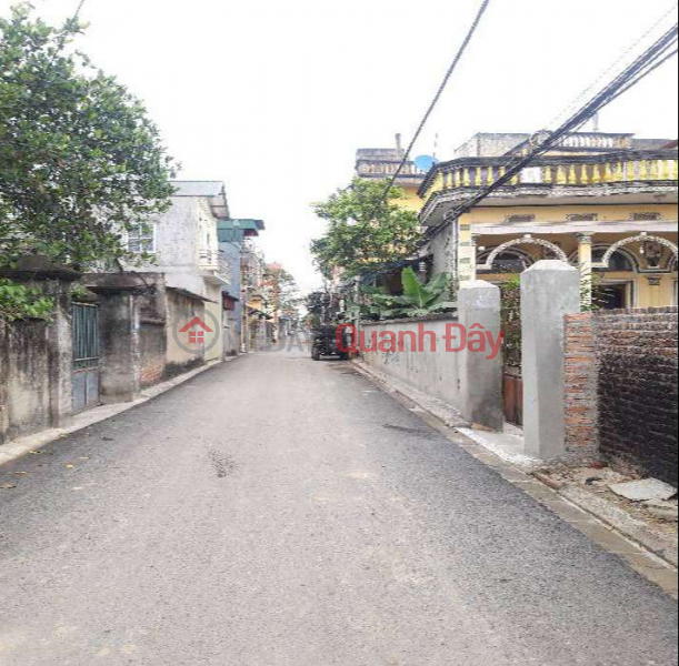 Cheap, land in Lai Hoang, Yen Thuong is only 24 million\\/m2, road width is 129m, road width: 5.3m Vietnam | Sales | đ 3.2 Billion