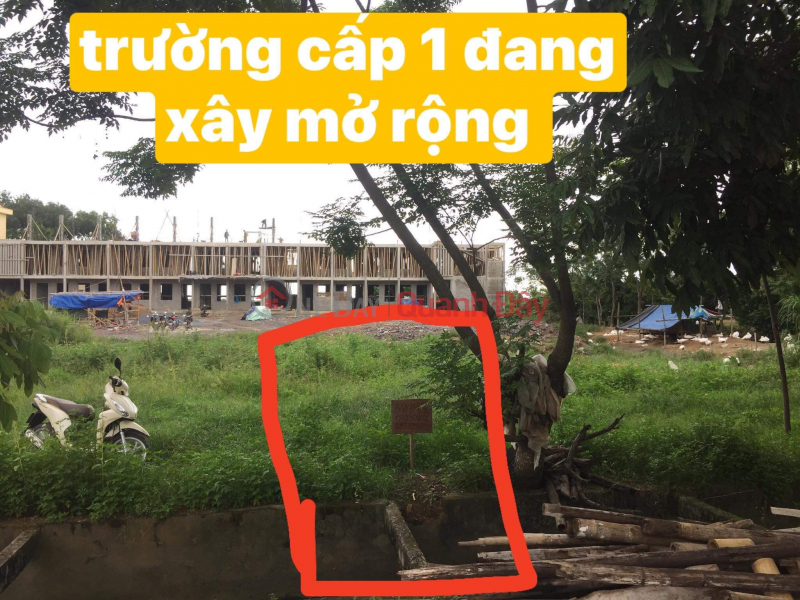 Property Search Vietnam | OneDay | Nhà ở Niêm yết bán, ĐẤT ĐẸP - GIÁ TỐT - Cần Bán Lô Đất Đẹp Tại xã Hoằng Thắng, huyện Hoằng Hóa, tỉnh Thanh Hóa