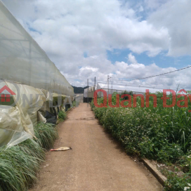 Land for sale in Van Thanh, Da Lat, more than half a sao, price 10 million\/m2 _0