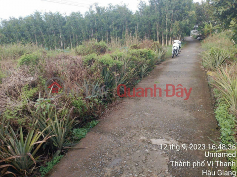The owner needs to sell land in Hau Giang City for only 220 million _0