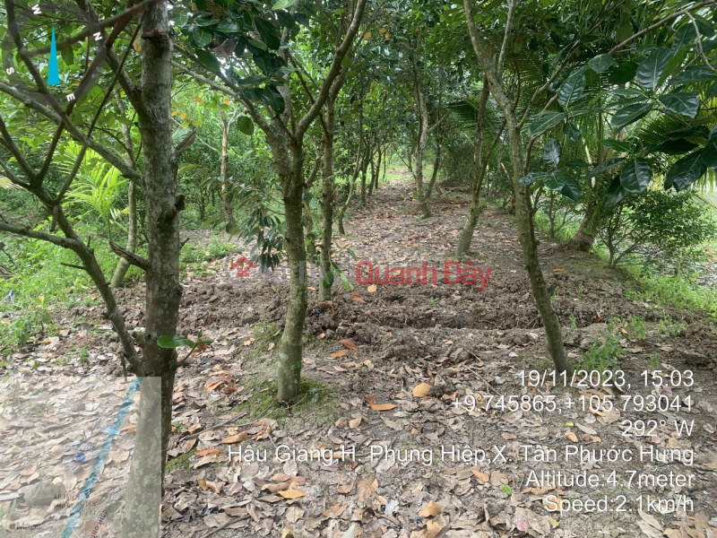 OWNER NEEDS TO URGENTLY TRANSFER LAND USE RIGHTS IN Phung Hiep, Hau Giang Sales Listings