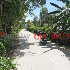 BEAUTIFUL LAND - GOOD PRICE - NEED TO SELL 2 lots of land quickly in BINH AN - CHAU THANH - KIEN GIANG _0