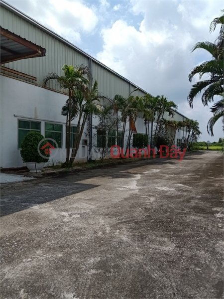 Selling 2.6ha of warehouse land for 50 years factory in Hoan Long commune, Yen My district, Hung Yen province Vietnam Sales | đ 200 Million