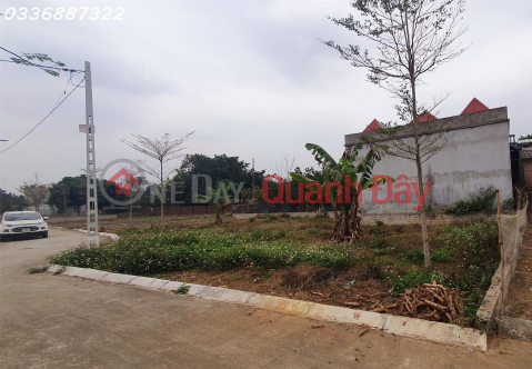 The owner needs to sell 2 adjacent plots of residential land in Doi Sen Village, Binh Yen Commune, Thach That _0