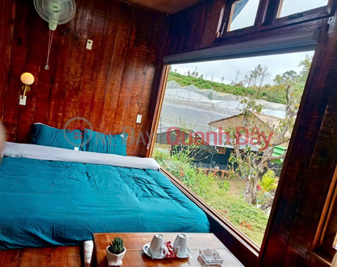 Homestay Dankia, Ward 7, Da Lat for rent: 50 million VND\/month _0