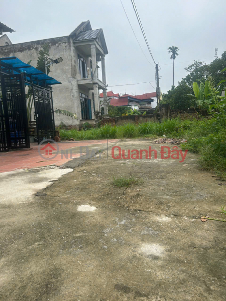 Beautiful land for sale - Beautiful location Thanh Tri Village - Minh Phu Commune (New Kim Anh) | Vietnam, Sales, đ 3.14 Billion