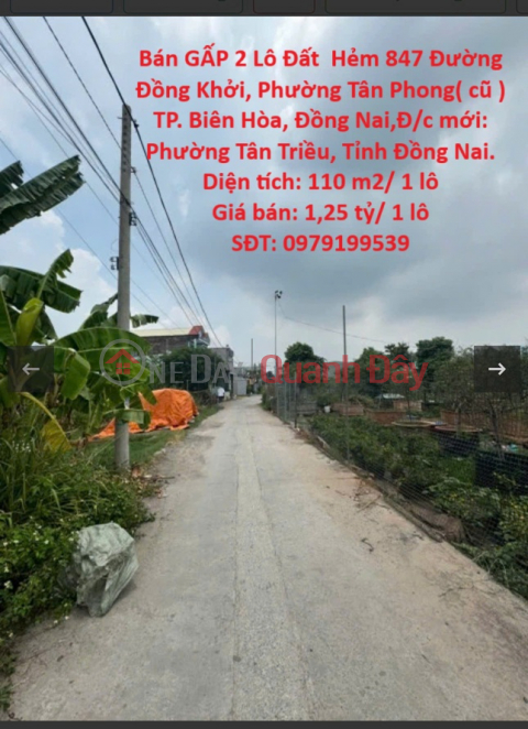 Owner Needs to Sell URGENTLY 2 Lots of Land in Alley 847 Dong Khoi Street, Tan Phong Ward (old) Bien Hoa City, Dong Nai _0