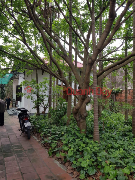 Property Search Vietnam | OneDay | Nhà ở | Niêm yết bán | Bán nhà Khê Nữ diện tích 370 m2 Nguyễn Khê Đông Anh chỉ 13,2 tỷ