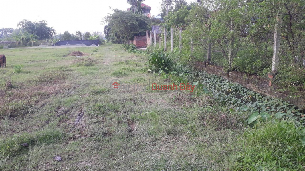 Property Search Vietnam | OneDay | Residential Sales Listings BEAUTIFUL LAND - GOOD PRICE - OWNER Selling 2 Front Lots of Land in Soc Son District, Hanoi