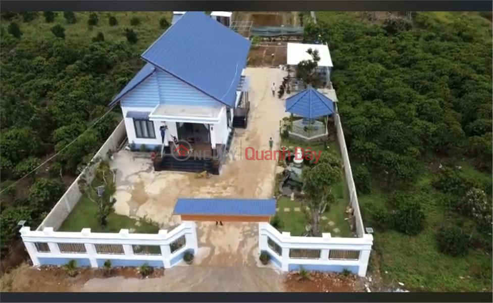 BEAUTIFUL LAND - GOOD PRICE - Land Lot For Sale Prime Location In Loc Chau Commune, Bao Loc City, Lam Dong Sales Listings