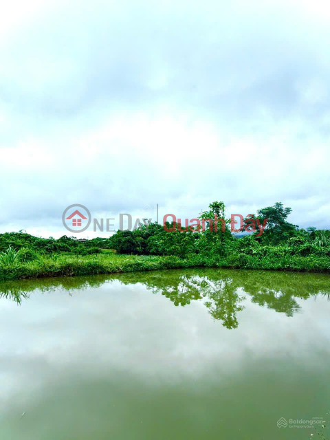 Owner is transferring ownership of a 1-hectare aquaculture farm with a modern system, located 80km from Da Lat. _0