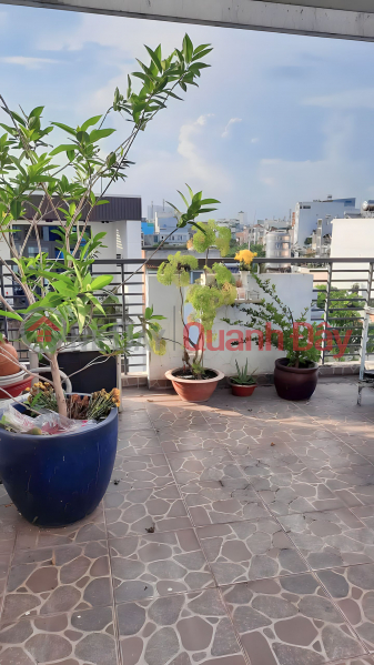 Released 5 floors of Dong Den Bau Cat pine farm 50m2 and 7t Sales Listings