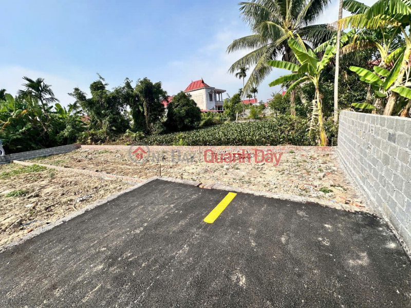 đ 895 Million | 2 LOTS OF COC LIEN – MINH TAN – 4M WIDE PLASTIC ALLEY, CARS CAN ACCESS ALL THE WAY TO THE LAND – RARE PRICE 8XX MILLION ZALO 0567 222 555