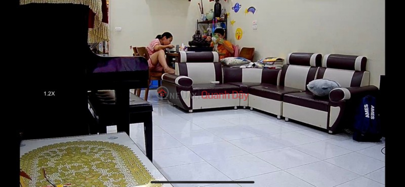 HOANG MINH DAO BEAUTIFUL HOUSE - LARGE LAND - WITH PLAYGROUND - CITY - SMALL FINANCE | Vietnam Sales đ 4.45 Billion