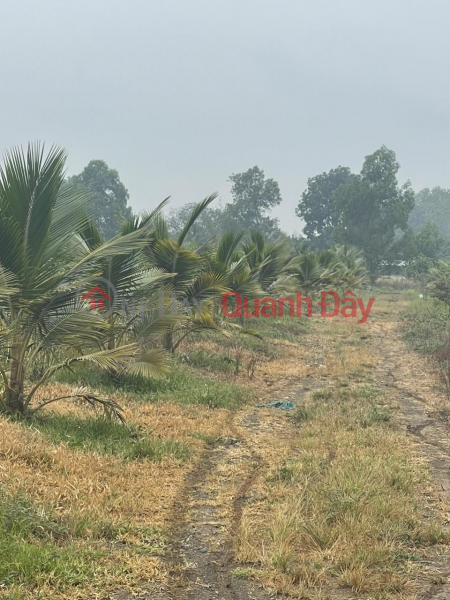 ORIGINAL LAND - CASH - GOOD PRICE In Xuan Dong Commune, Cam My District, Dong Nai Province | Vietnam, Sales, đ 2.93 Billion