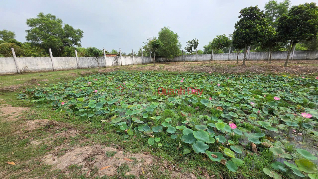 Property Search Vietnam | OneDay | Residential, Sales Listings | BEAUTIFUL LAND LOT - INVESTMENT IS PROFITABLE - Land for Sale in Duc Lap Ha Commune, Duc Hoa, Long An