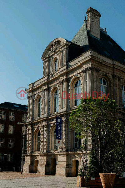 House for rent on Nguyen Van Thoai street. Rental Listings