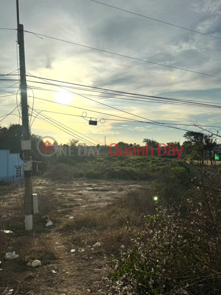PROFITABLE INVESTMENT - OWNER Needs to Quickly Sell Land Plot in Tan Thanh Commune, Go Cong Dong, Tien Giang Vietnam, Sales | đ 8 Billion