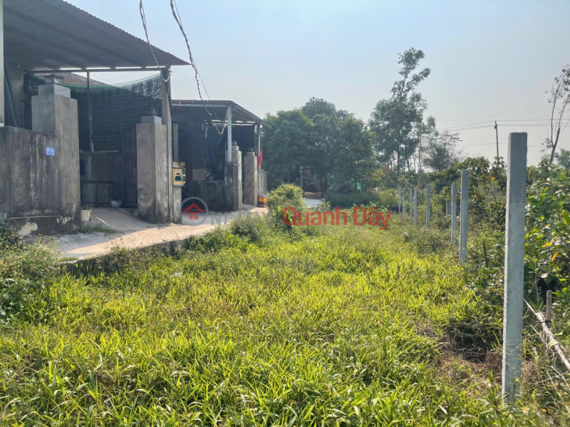 Property Search Vietnam | OneDay | , Sales Listings Land for sale with street frontage in Thuy Phuong.