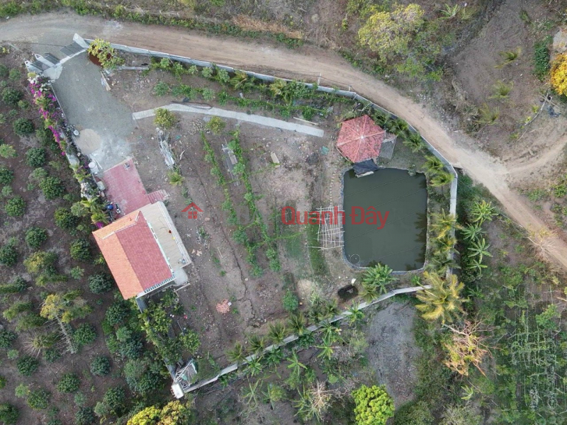 đ 1.3 Billion | Selling garden house Ea NuoL Hoa Nam DakLak2000m for only 1.3 billion