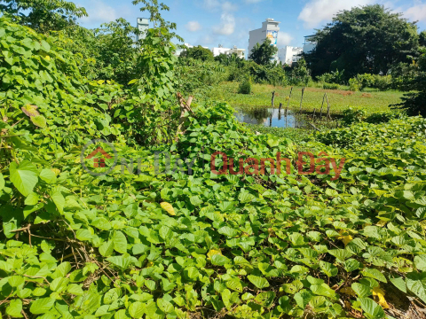 Owner Sells Land With 2 Street Fronts, Perennial Garden In Chau Phu B Ward, Chau Doc City, An Giang. _0