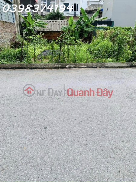 Trung Oai, Nhat Tan, beautiful lot, big road, nice size, Vietnam, Sales, đ 38 Million