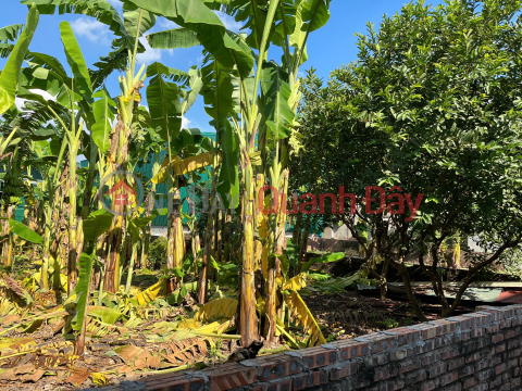 LAND FOR SALE, 3-AIRY STREET FRONT, PHU VIEN, BO DE, LONG BIEN, 110m², FRONTAGE 7m - PRICE 21 BILLION _0