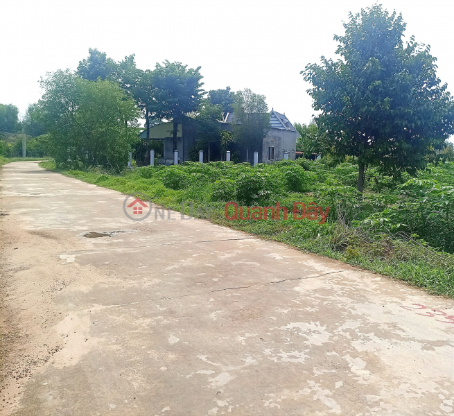 Property Search Vietnam | OneDay | | Sales Listings Minh Hung Chon Thanh land is extremely expensive, only 300 million, including documents