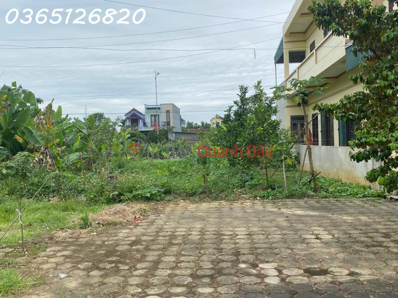 Property Search Vietnam | OneDay | Residential Sales Listings I am the owner and I need to sell plot TS3 in Quang Chau ward, Sam Son, Thanh Hoa.