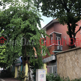 The owner rents a 500m2 villa in European Viet Kieu Village, good traffic location _0