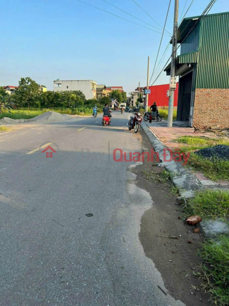 Need to sell quickly plot of land at Cat Lu auction, direction, Van Lam, Good price for investors, high potential for price increase Sales Listings