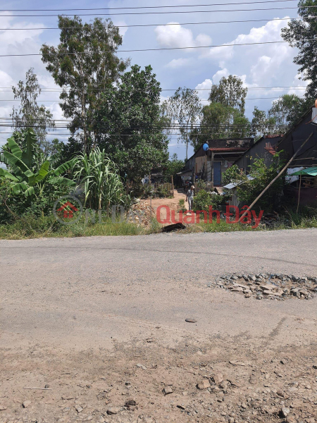 OWNER Needs to Sell Rice Field Plot Quickly, Beautiful Location in Tri Ton, An Giang Vietnam | Sales đ 8.6 Billion