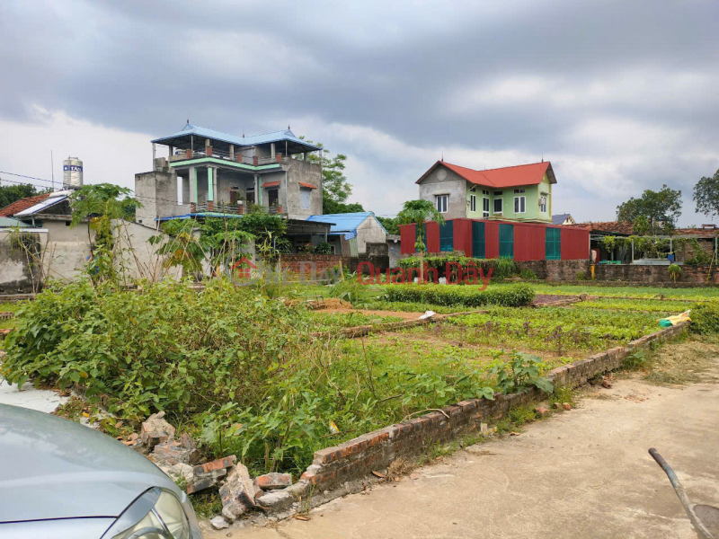 Property Search Vietnam | OneDay | Residential | Sales Listings Hot! Where can I find a beautiful plot of land like this now, area 90m2 Lap Tri, Minh Tri, Soc Son