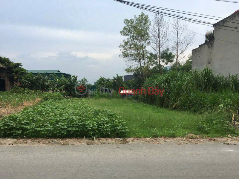 BEAUTIFUL LAND - OWNER NEEDS TO SELL LOT OF LAND IN Suong 1 area - Huong Lung - Cam Khe - Phu Tho | Vietnam Sales đ 1.2 Billion