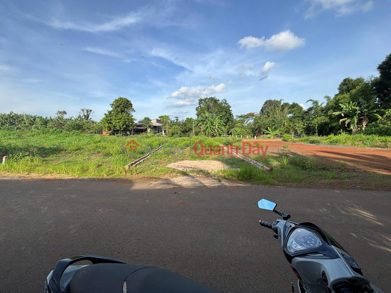 Property Search Vietnam | OneDay | , Sales Listings | Urgent Sale: 5.3 x 25 meters, widening to 7 meters at the rear - Bau Chinh (new Kim Long commune),Ho Chi Minh City