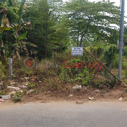 OWNER FOR SALE Lot of Land, Beautiful Location In Long Son Ward, Tan Chau, An Giang _0