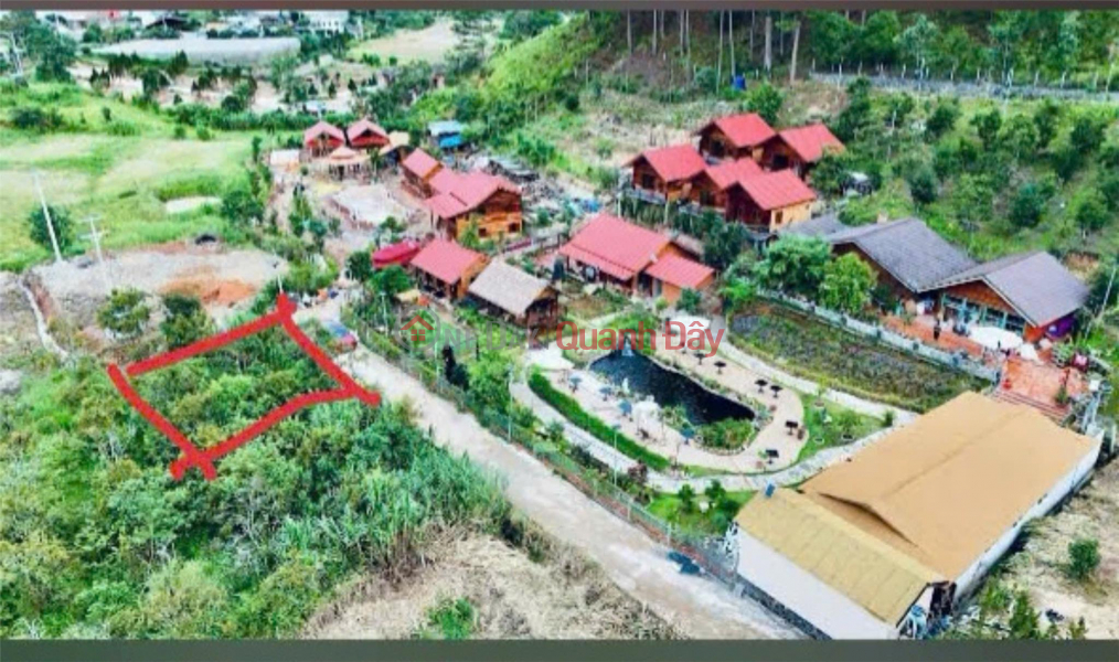 Beautiful Land - Good Price - Owner Needs to Sell RESORT LAND in Hiep An, Duc Trong, Lam Dong, Vietnam | Sales đ 3.5 Billion