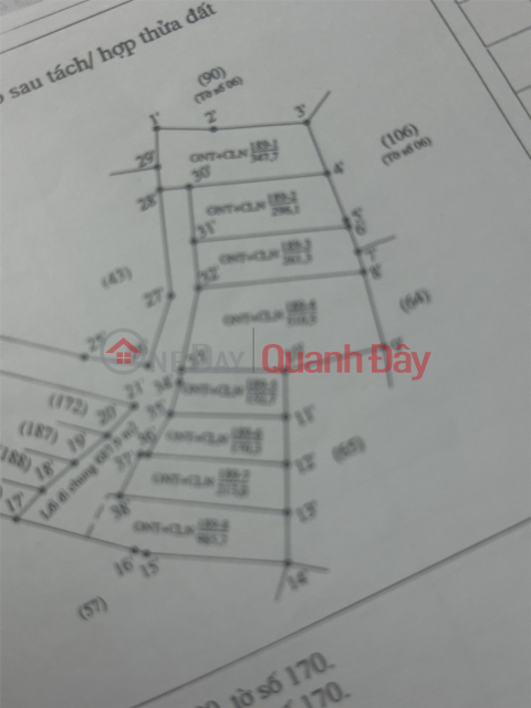 BEAUTIFUL LAND – GOOD PRICE – FOR SALE 4 Adjacent Land Lots At Phuong Ky Hamlet, Tan Ky Commune, Nghe An Province. _0