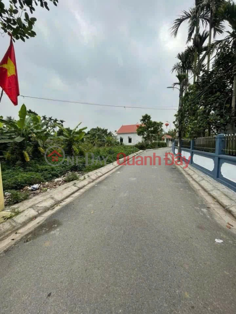 1.9 tỷ 88m2 Thượng Đức Đồ Sơn Zalo 0567222555 _0